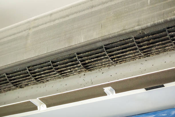 Best Ductwork Cleaning Services  in Puxico, MO