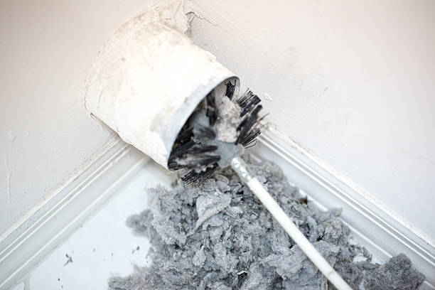 Best Professional Duct Cleaning Services  in Puxico, MO